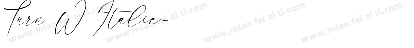 Turn W Italic字体转换